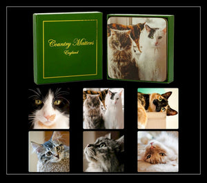 Country Matters Coasters - Cats