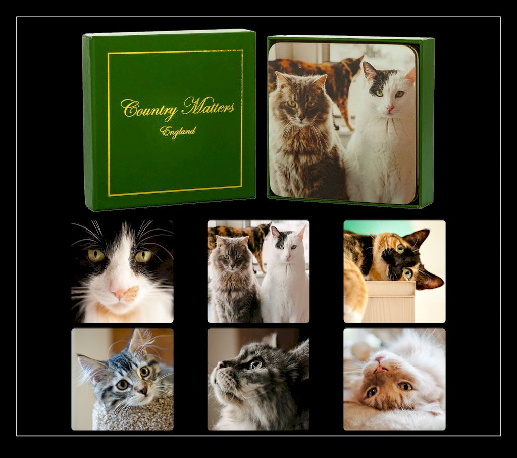 Country Matters Coasters - Cats