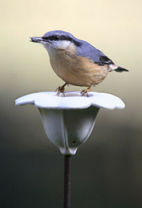 Bird feeder-flower