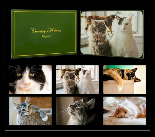 Country Matters set of 6 Placemats-Cats