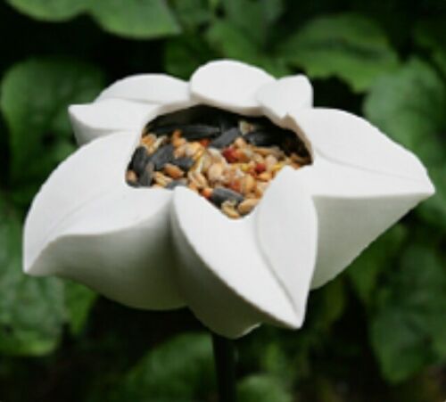 Bird feeder- star flower